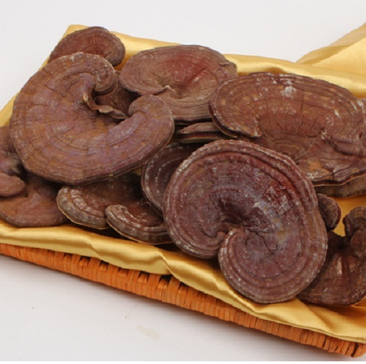 9 Tác Dụng Của Nấm Linh Chi Với Phụ Nữ Giúp Đẹp Da Khỏe