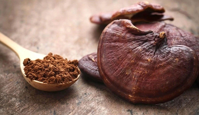 Tác Dụng Của Nấm Linh Chi Với Gan Giải Độc Và Bảo Vệ Gan