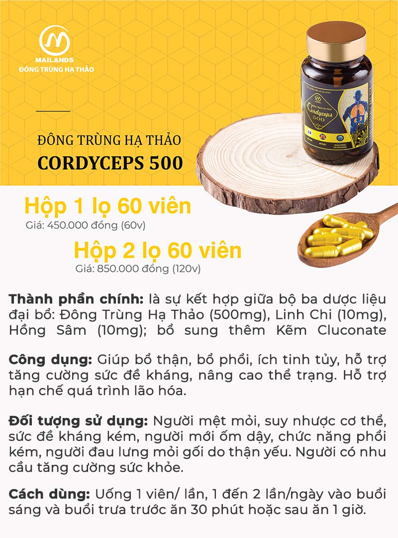 Viên Đông trùng hạ thảo Cordyceps 500